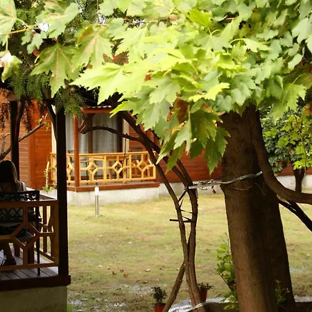 Kamp alanı Maji Village Çıralı