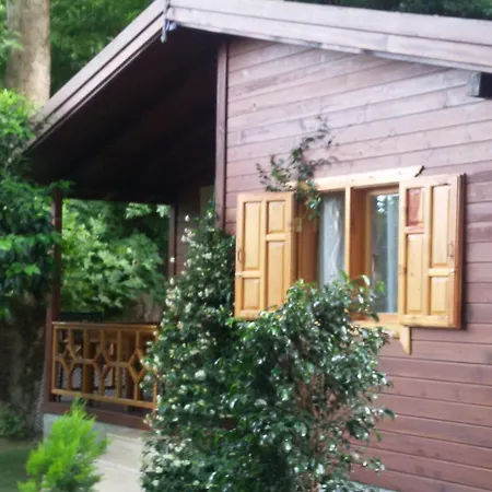 Kamp alanı Maji Village Çıralı