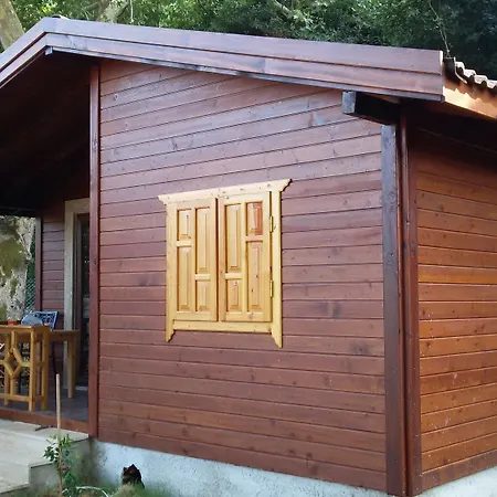 Kamp alanı Maji Village 3*